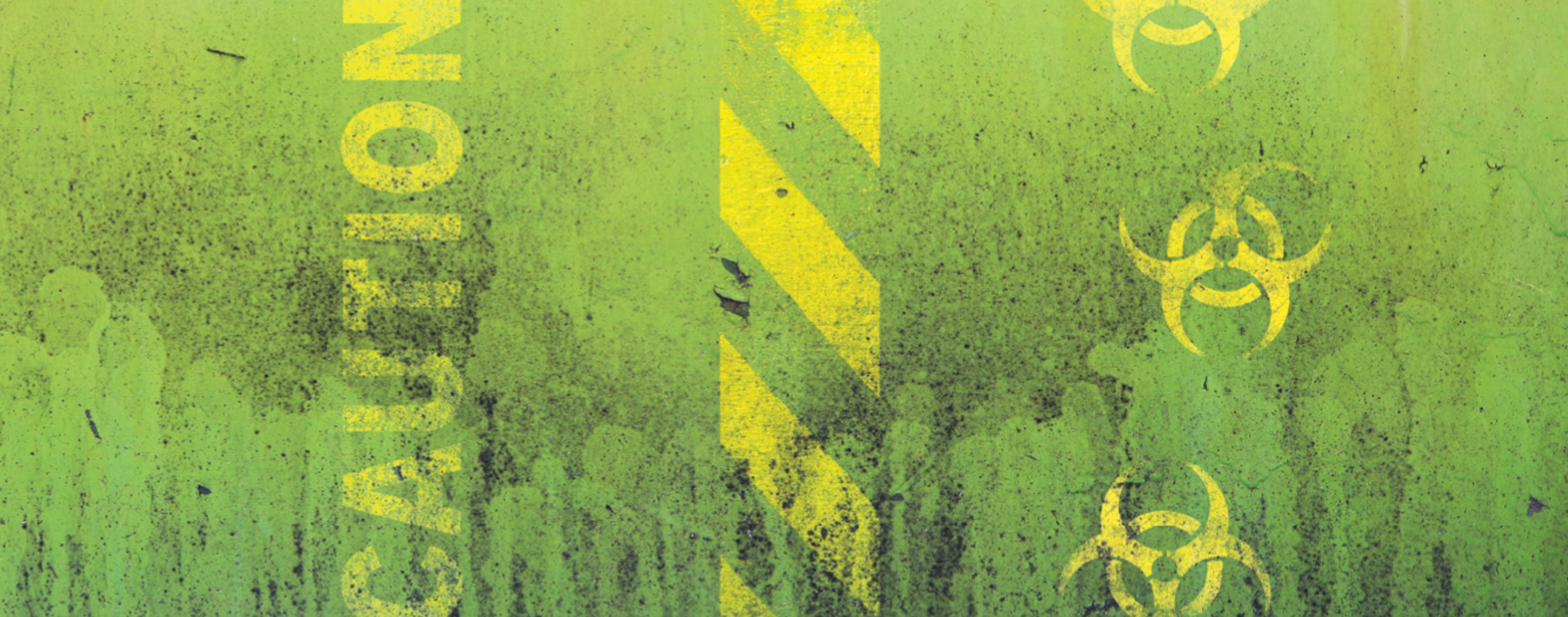 top_banner_background